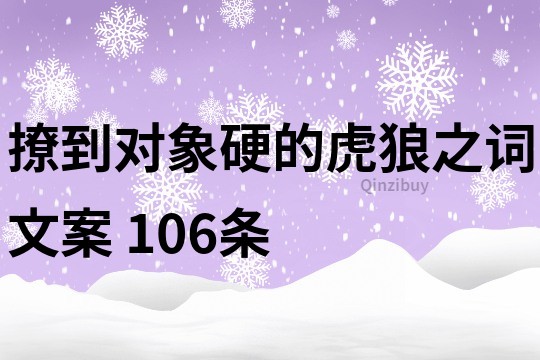 撩到对象硬的虎狼之词文案	106条