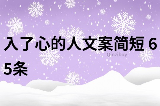 入了心的人文案简短	65条