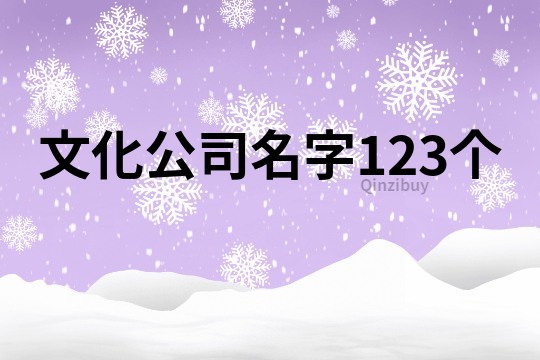 文化公司名字123个