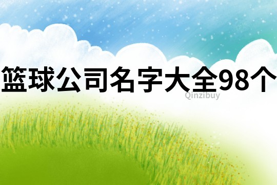 篮球公司名字大全98个