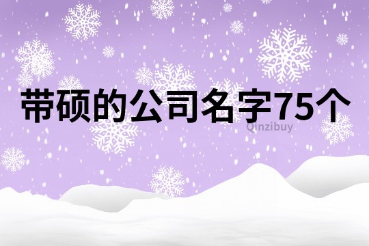 带硕的公司名字75个