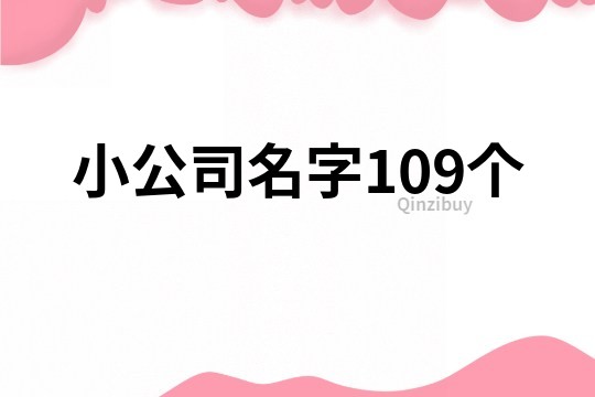 小公司名字109个