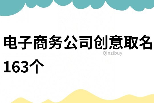 电子商务公司创意取名163个