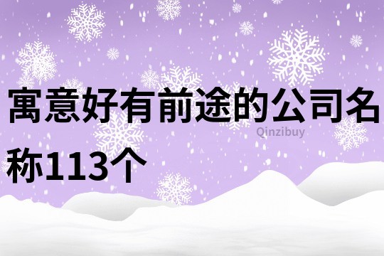 寓意好有前途的公司名称113个