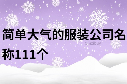 简单大气的服装公司名称111个