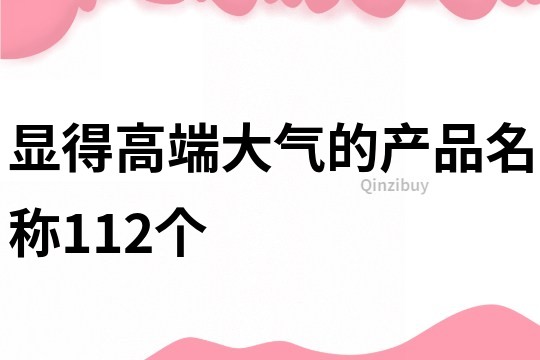 显得高端大气的产品名称112个