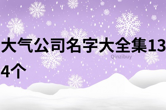 大气公司名字大全集134个