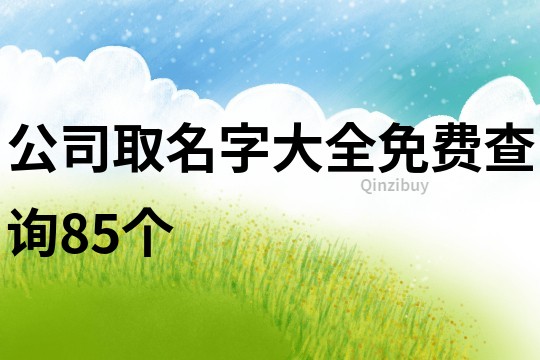 公司取名字大全免费查询85个