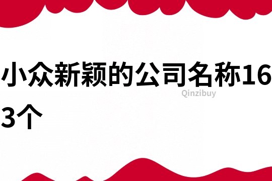 小众新颖的公司名称163个