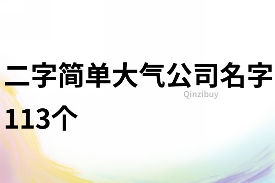 二字简单大气公司名字113个