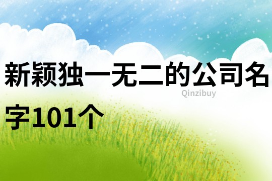 新颖独一无二的公司名字101个