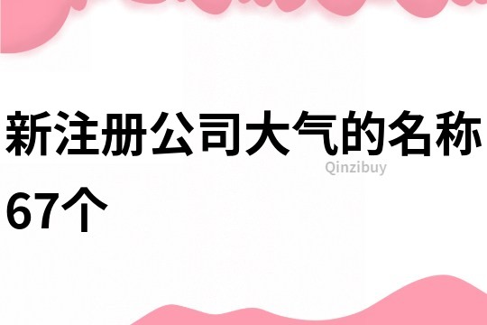 新注册公司大气的名称67个