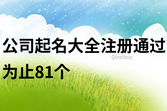 公司起名大全注册通过为止81个