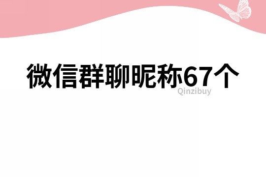 微信群聊昵称67个