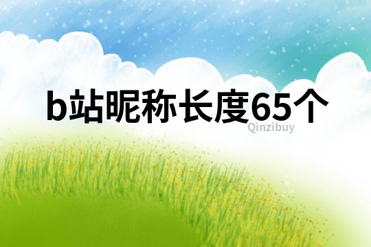 b站昵称长度65个