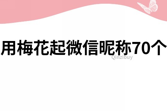 用梅花起微信昵称70个