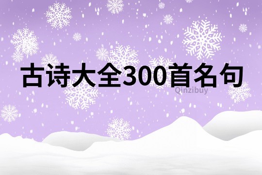 古诗大全300首名句