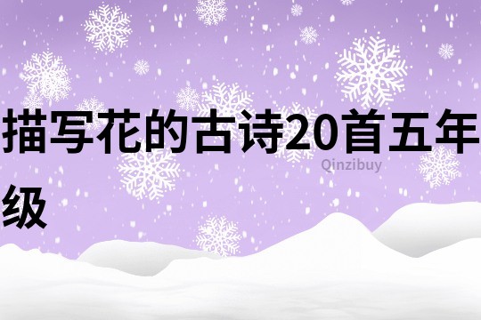 描写花的古诗20首五年级