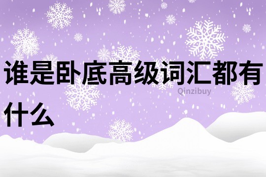 谁是卧底高级词汇都有什么