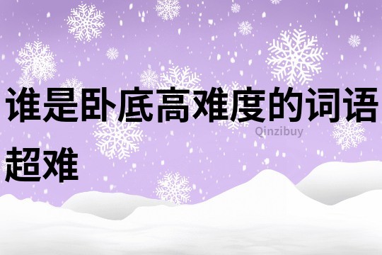 谁是卧底高难度的词语超难