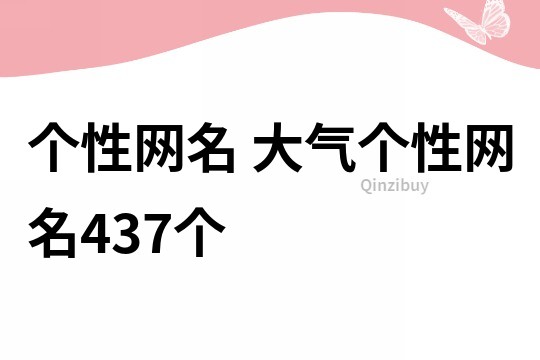 个性网名 大气个性网名437个