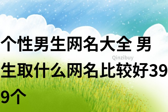 个性男生网名大全 男生取什么网名比较好399个