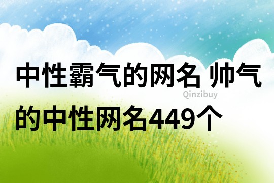 中性霸气的网名 帅气的中性网名449个