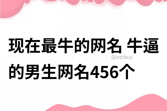 现在最牛的网名 牛逼的男生网名456个