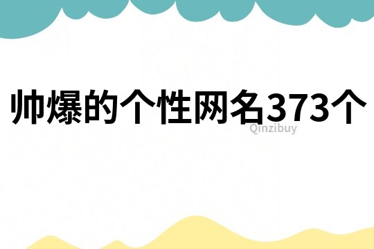 帅爆的个性网名373个