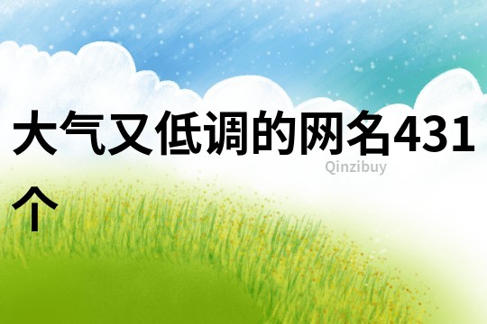 大气又低调的网名431个