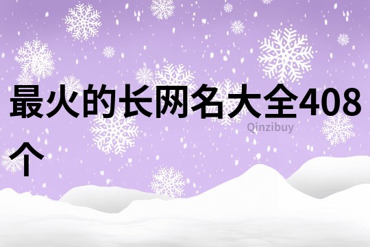 最火的长网名大全408个