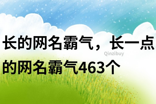 长的网名霸气，长一点的网名霸气463个