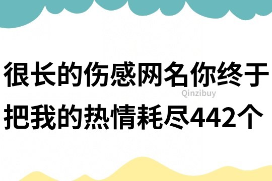 很长的伤感网名：你终于把我的热情耗尽442个