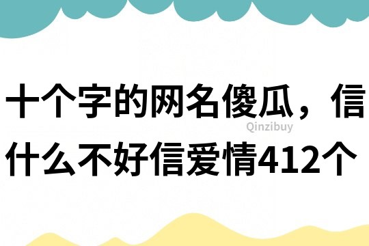 十个字的网名：傻瓜，信什么不好信爱情412个