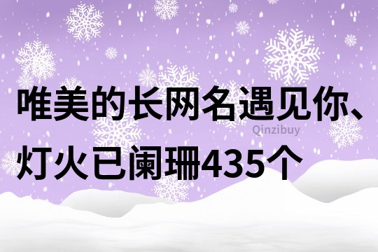 唯美的长网名：遇见你、灯火已阑珊435个