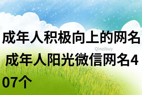 成年人积极向上的网名 成年人阳光微信网名407个