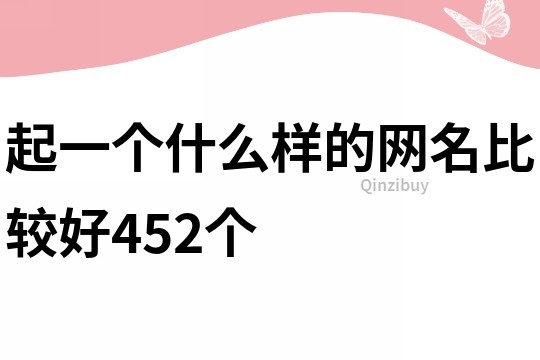 起一个什么样的网名比较好452个