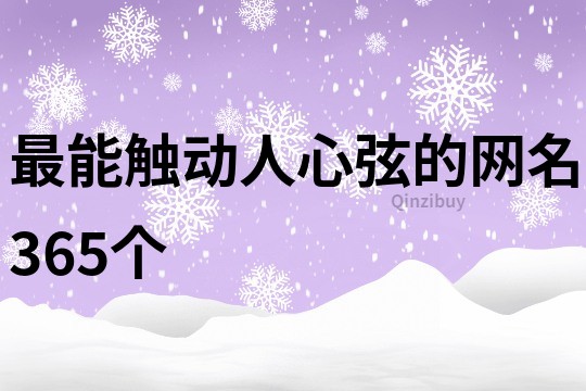 最能触动人心弦的网名365个