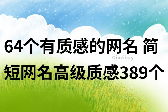 64个有质感的网名 简短网名高级质感389个