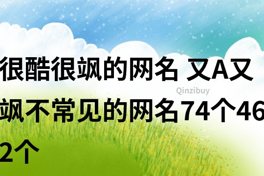 很酷很飒的网名 又A又飒不常见的网名74个462个