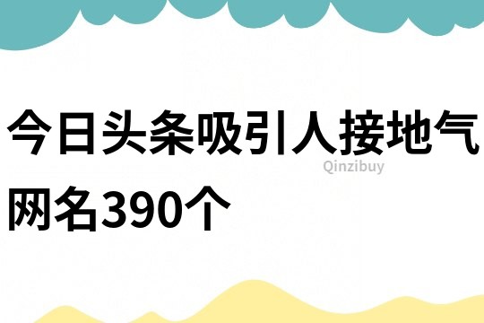 今日头条吸引人接地气网名390个