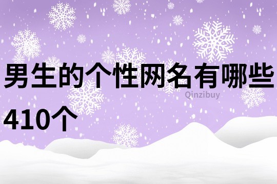 男生的个性网名有哪些410个