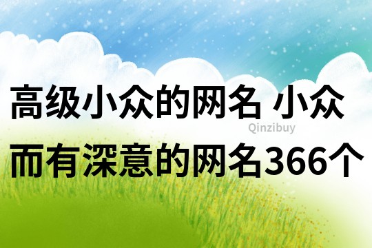 高级小众的网名 小众而有深意的网名366个