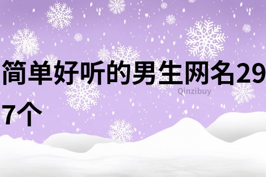 简单好听的男生网名297个