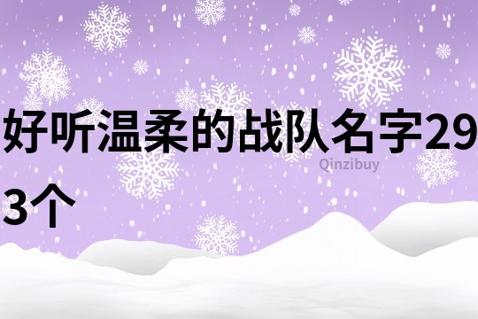 好听温柔的战队名字293个