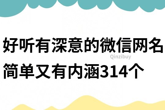 好听有深意的微信网名简单又有内涵314个