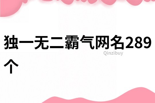 独一无二霸气网名289个