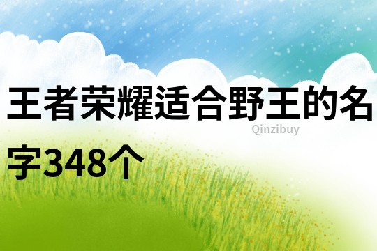 王者荣耀适合野王的名字348个