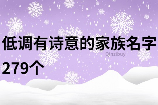 低调有诗意的家族名字279个