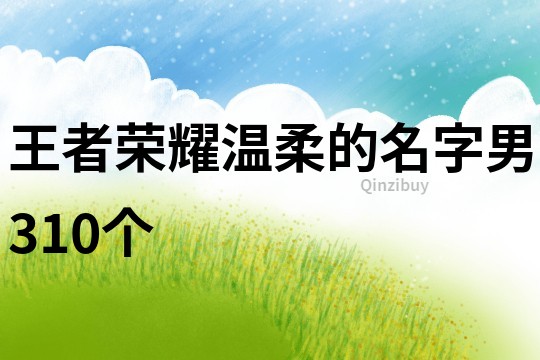 王者荣耀温柔的名字男310个